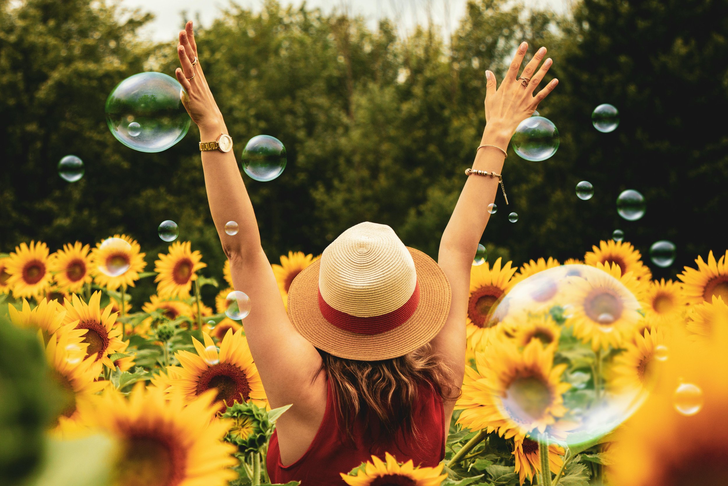 woman raising arms in a field of sunflowers