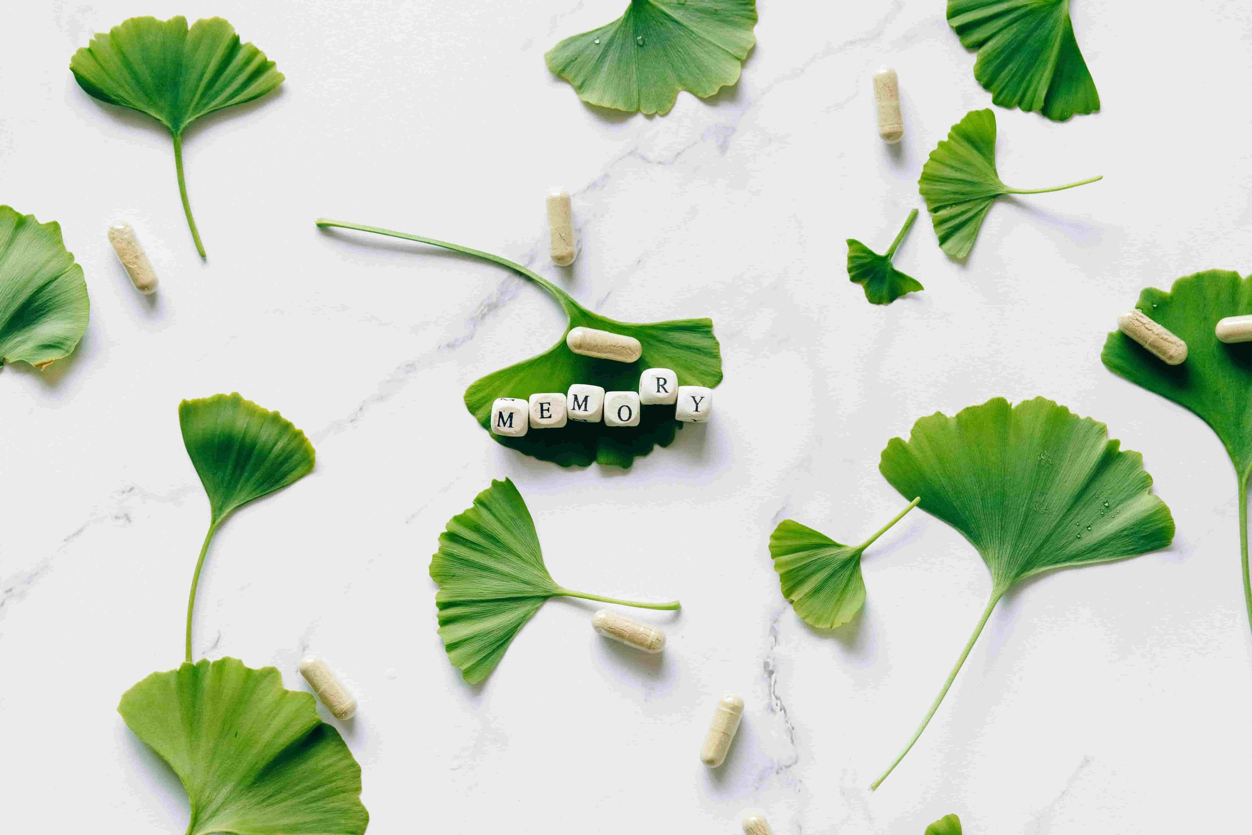 ginkgo leaves and a sign that says "memory"