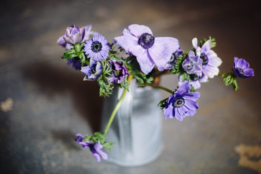 Subtle-Moments-Delicate-purple-anemones-in-white-ceramic-vase-arrangement