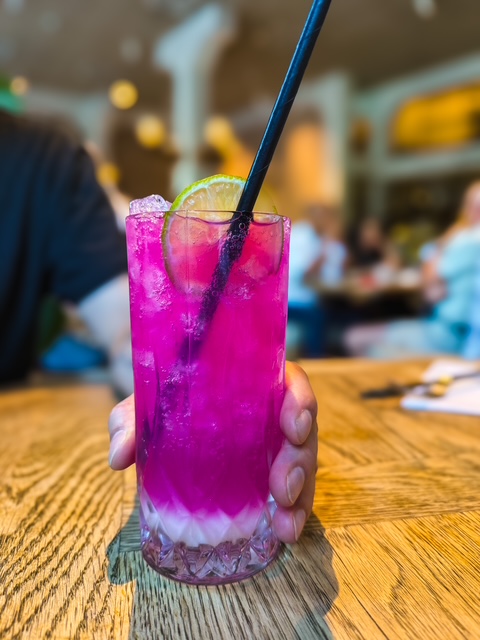 Barcelona's kombucha, unmatched — my grown-up drink of choice.