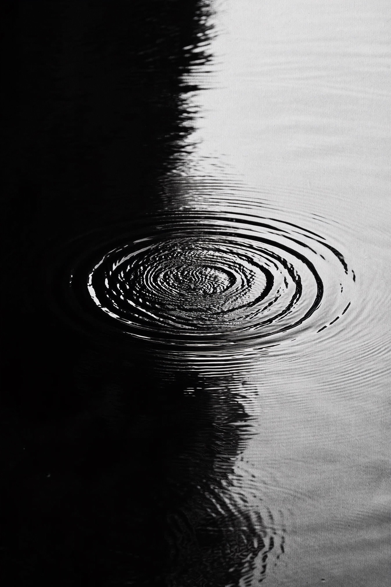 Concentric water ripples create hypnotic patterns in monochrome