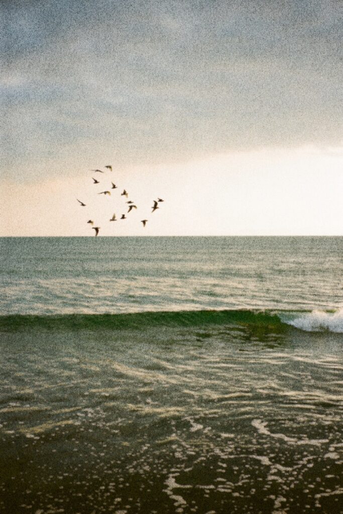 Flock of birds flying over ocean waves at sunset