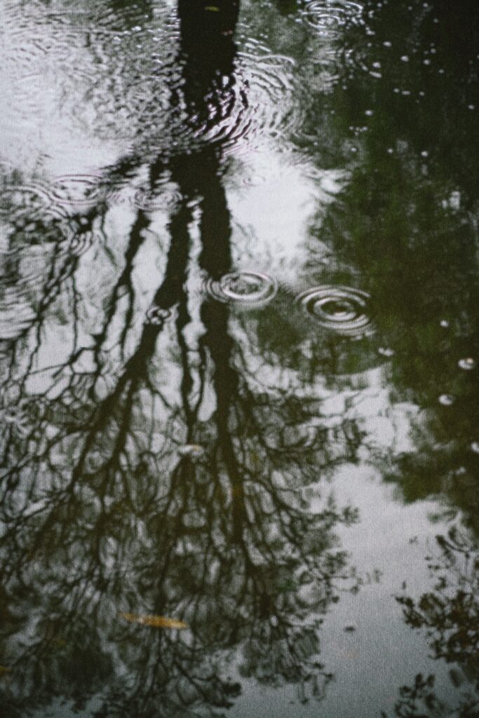 Rain ripples create concentric circles in still water